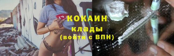 герыч Ельня