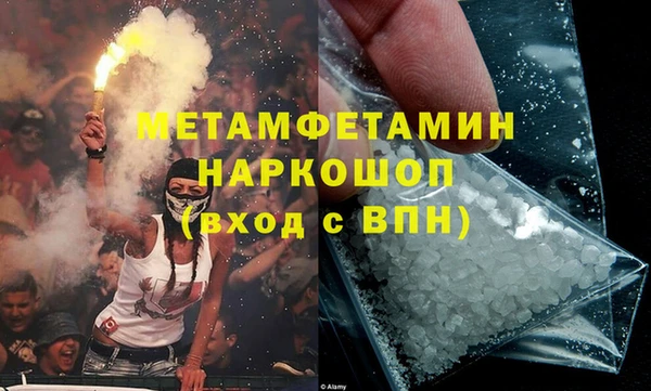 прущие грибы Елизово
