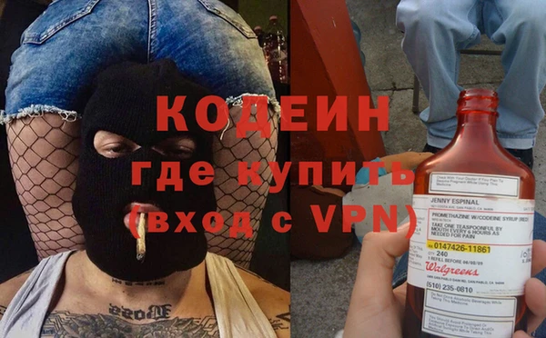 прущие грибы Елизово