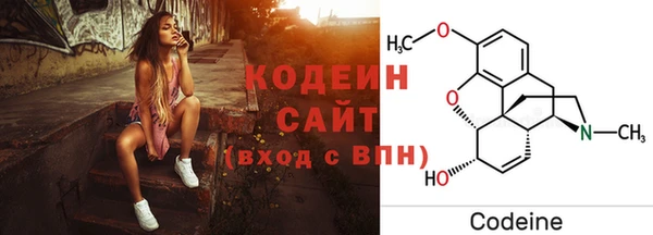 прущие грибы Елизово