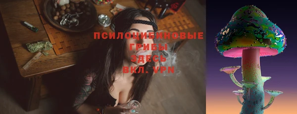герыч Ельня