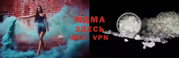 прущие грибы Елизово