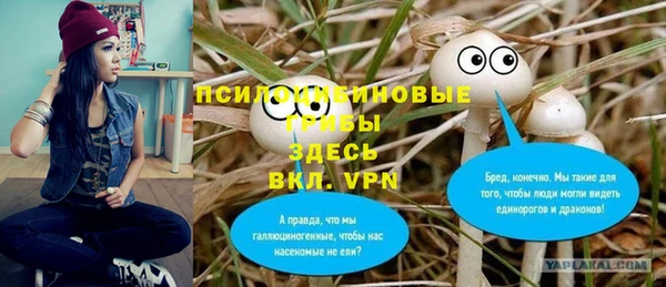 прущие грибы Елизово