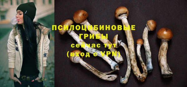 винт Елабуга