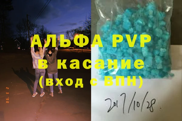 прущие грибы Елизово