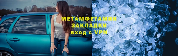 прущие грибы Елизово